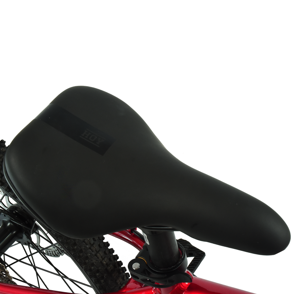 HOY Pentland 20" ( PRE - ORDER SEPTEMBER DELIVERY )